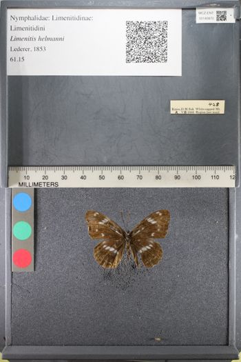 Media type: image;   Entomology 140870